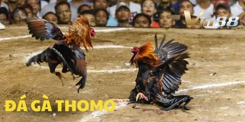 da-ga-thomo