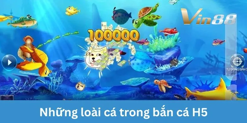 ban-ca-h5-nhung-loai-ca