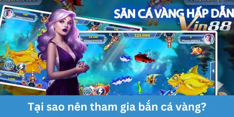 ban-ca-vang-tai-sao-nen-tham-gia