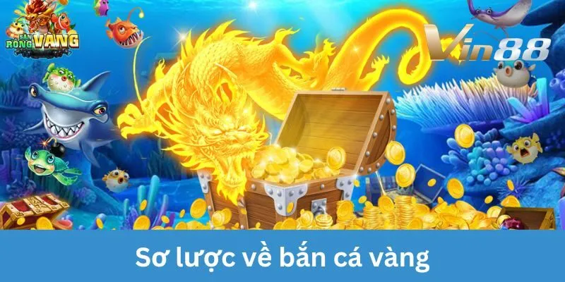 ban-ca-vang-ve-so-luoc