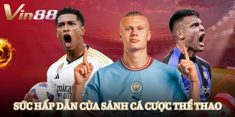 ca-cuoc-the-thao-suc-hap-dan
