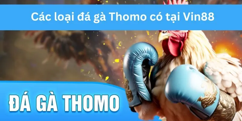 da-ga-thomo-cac-the-loai