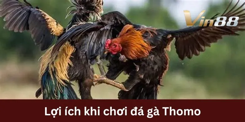 da-ga-thomo-loi-ich