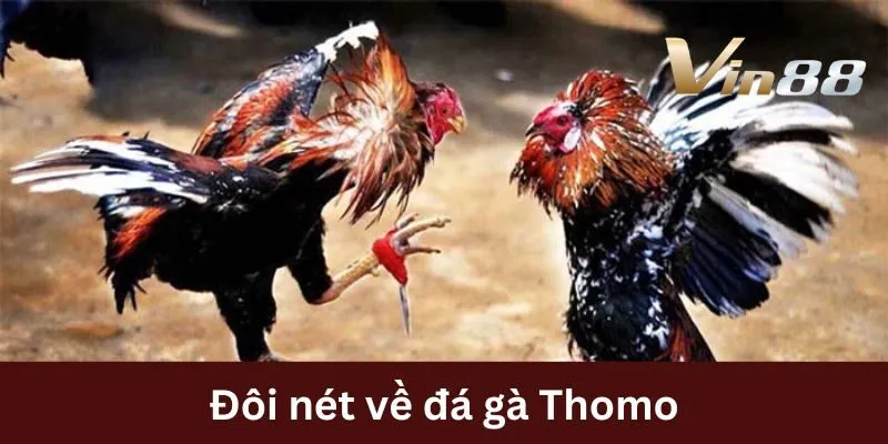 da-ga-thomo-ve-doi-net